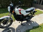 Oldtimer Yamaha RD250LC 1982 zeer goede staat