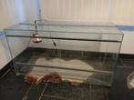 Groot terrarium met dik Glas. Incl.warmtelamp. 115x50x60, Dieren en Toebehoren, Ophalen, Zo goed als nieuw
