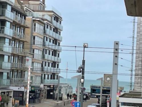 Sint-Idesbald 4p. Vakantie app., Vakantie, Vakantie | Aanbiedingen en Last minute, Eigenaar
