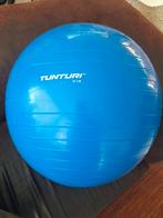 Gymbal van Tunturi 65cm, Comme neuf, Enlèvement