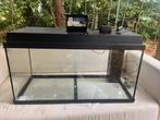 Aquarium Juwel 125 liter, Dieren en Toebehoren, Ophalen, Zo goed als nieuw, Leeg aquarium