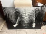 Olifantenposter, Dieren en Toebehoren, Ophalen, Zo goed als nieuw