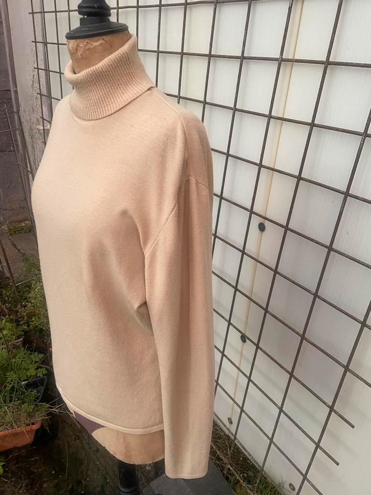 Rolkraag trui, Kleding | Dames, Truien en Vesten, Gedragen, Maat 38/40 (M), Overige kleuren, Ophalen of Verzenden