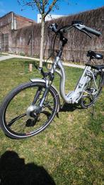Elektrische Fiets FLYER SUPER GOED, Fietsen en Brommers, Elektrische fietsen, 51 tot 55 cm, Ophalen of Verzenden, Zo goed als nieuw
