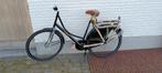 Hollandia Oma Opa fiets 57cm *NIEUW*, 56 cm ou plus, Enlèvement, Neuf, Hollandia