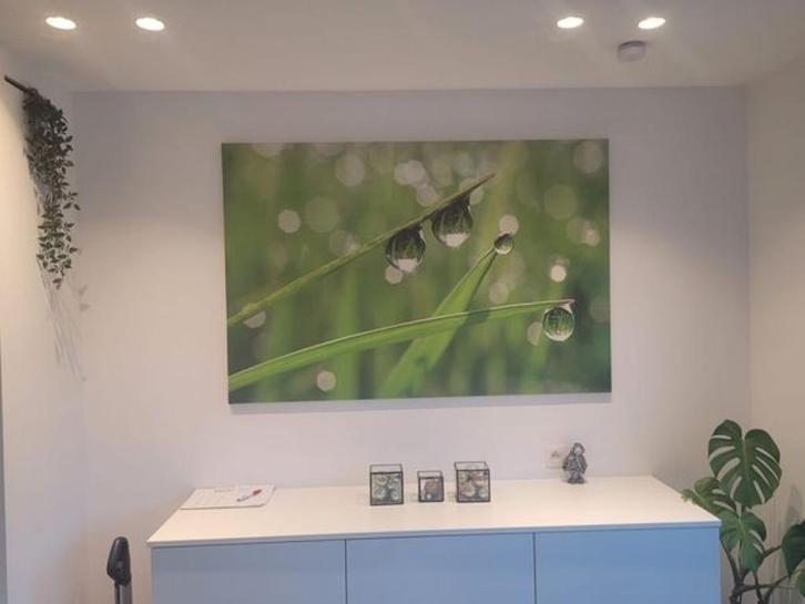 Canvas 100cm op 150cm - waterdruppels aan grassprietjes, Huis en Inrichting, Woonaccessoires | Wanddecoraties, Nieuw, Ophalen