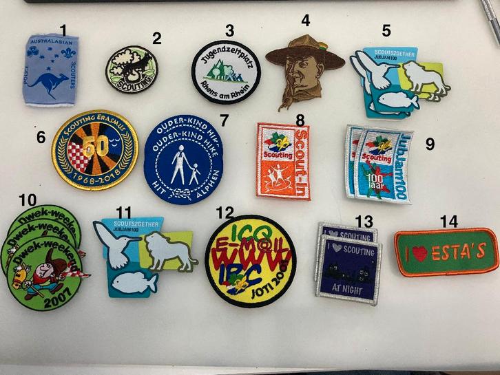 Scouting insigne / badge, Collections, Scoutisme, Neuf, Emblème, Broche ou Badge, Enlèvement ou Envoi