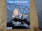 "Tintin reporter du siècle" (2004), Enlèvement