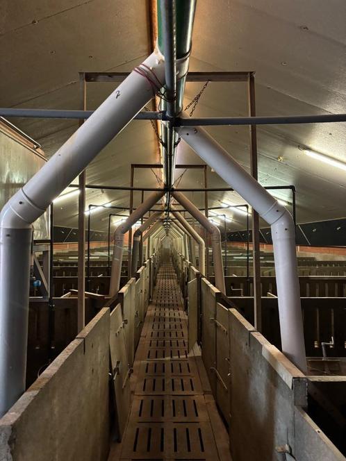 Inrichting varkensstal, Zakelijke goederen, Landbouw | Veevoer, Ophalen