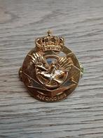 Insigne 80 UAV version doré, Enlèvement, Armée de l'air, Emblème ou Badge