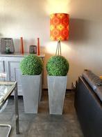 Pot en zinc avec boule de buis, 70 cm ou plus, Comme neuf, Enlèvement, Intérieur