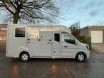 nieuwe renault 2 paarden!  leasing mogelijk zonder bank., Dieren en Toebehoren, Paarden en Pony's | Trailers en Aanhangwagens