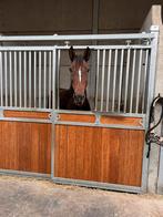 Trainen, opleiden en uitbrengen van uw paard., Animaux & Accessoires, Chevaux