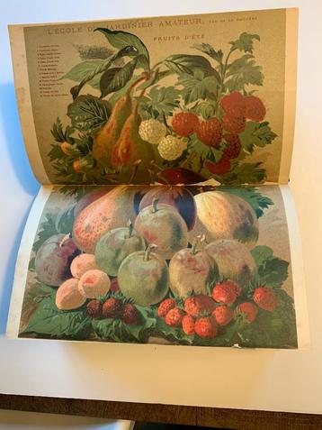L'école du jardinier door F. de la Brugère beschikbaar voor biedingen