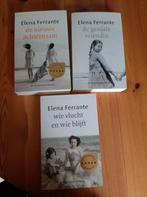 Napolitaans roman - Elena Ferrante, Boeken, Ophalen of Verzenden, Zo goed als nieuw