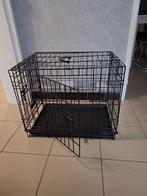 Cage  chien, Dieren en Toebehoren, Honden-accessoires, Ophalen, Nieuw