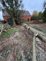 Gratis stoofhout, Doe-het-zelf en Bouw, Hout en Planken, Ophalen