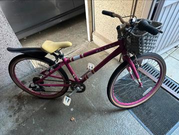 Kinderfiets voor meisjes, Fietsen en Brommers, Ophalen, Gebruikt, 24 inch