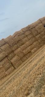 Tarwe stro te koop, Dieren en Toebehoren, Ophalen