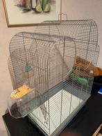 Vogelkooi, Dieren en Toebehoren, Ophalen, Zo goed als nieuw, Aluminium, Vogelkooi