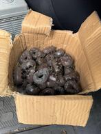 50 nieuwe karper grippa loden 300 gram, Ophalen of Verzenden, Nieuw, Dobber of Lood