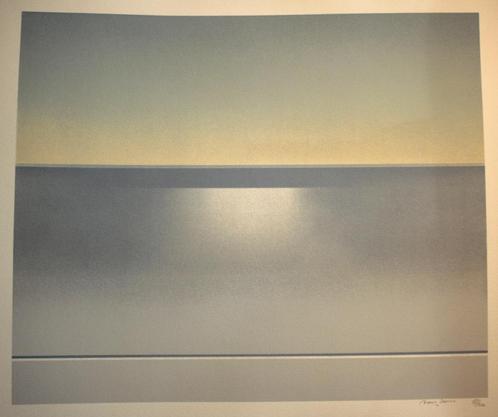Maurits Van Saene - Litho - (37/500), Antiek en Kunst, Kunst | Litho's en Zeefdrukken, Ophalen