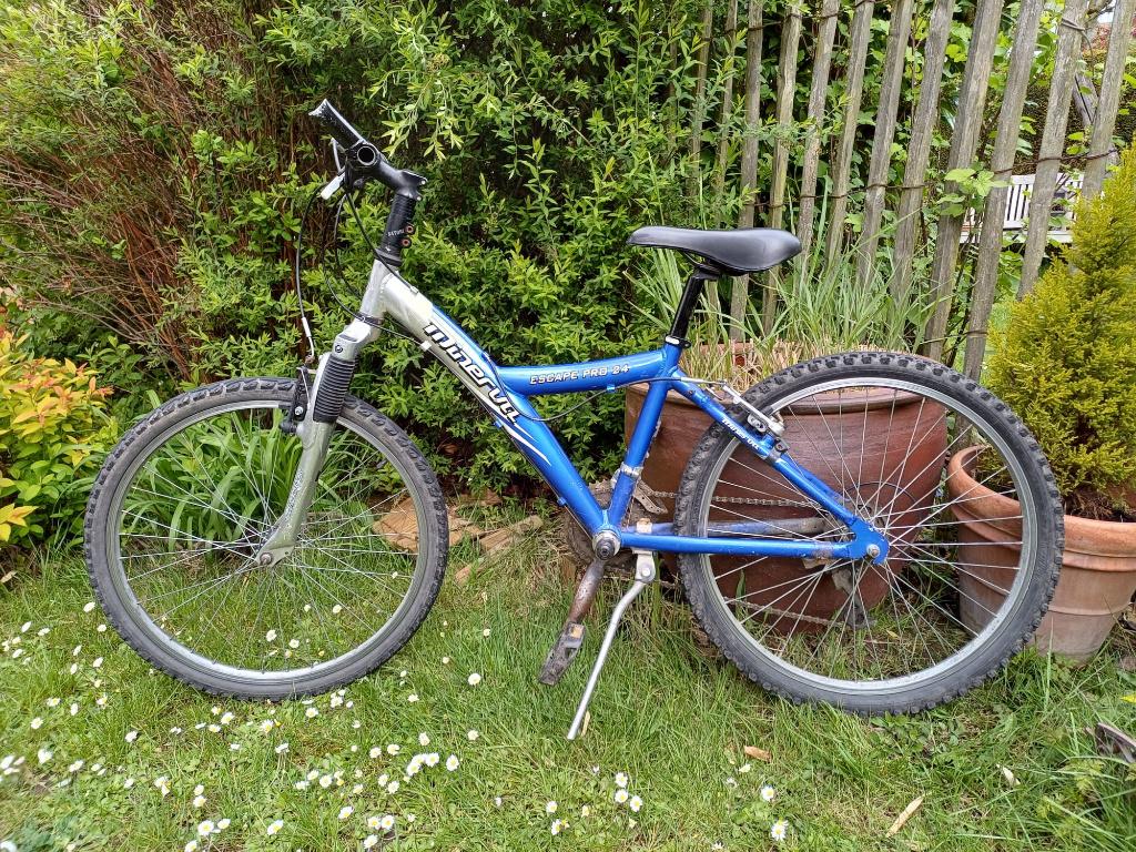 VTT Minerva Escape Pro 24 - Prêt à rouler, Vélos & Vélomoteurs, Enlèvement, Utilisé