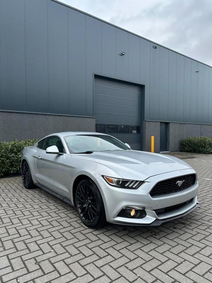 Ford Mustang - 2.3 ecoboost 317pk - 1 eigenaar, Autos, Ford, Particulier, Mustang, Caméra de recul, Essence, Euro 6, Coupé, 3 portes