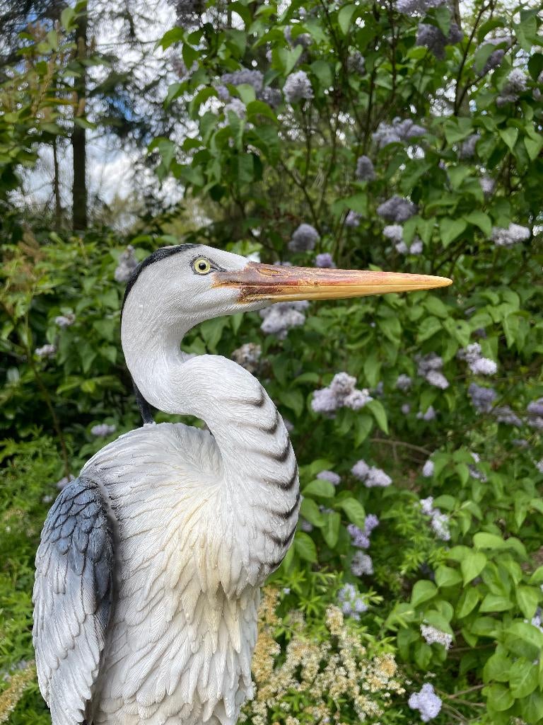 Beeld Reiger, gazon, tuin, vijver, dierentuin 80cm, Ophalen, Nieuw, Kunststof, Dierenbeeld