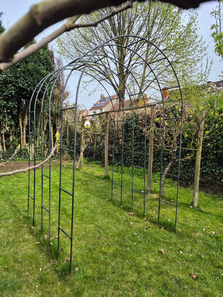 Sierbogen of Serre tuin voor als de lente kriebelt., Enlèvement