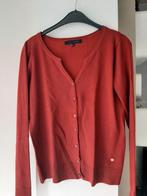 Gilet, Ophalen of Verzenden, Maat 38/40 (M)