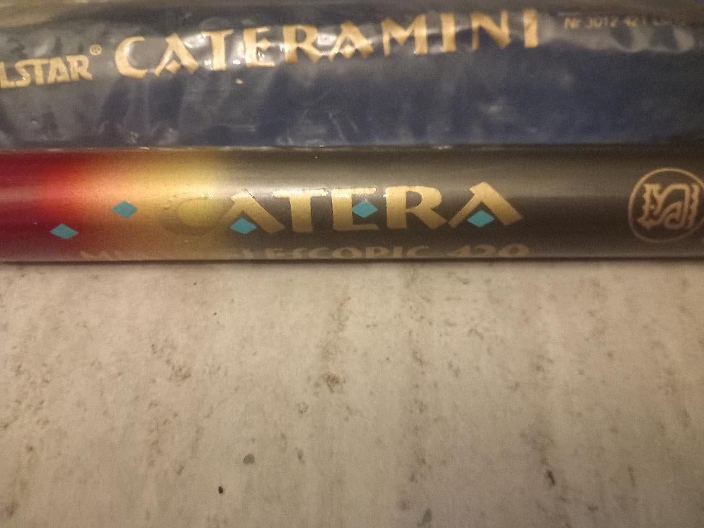 Canne a peche[4m20], Sports nautiques & Bateaux, Pêche à la ligne | Général, Enlèvement ou Envoi, Utilisé