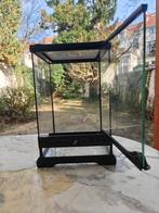 Terrarium exo terra en verre 20x20x30, Animaux & Accessoires, Enlèvement, Utilisé, Terrarium ou Paludarium