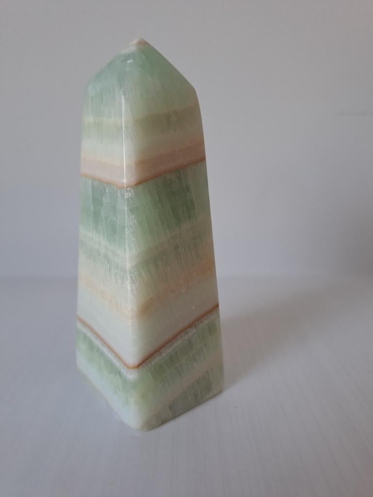 Pistache calciet 10 cm, Enlèvement ou Envoi