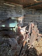 Ploeg steeno 3schaar met kantschijf, Enlèvement