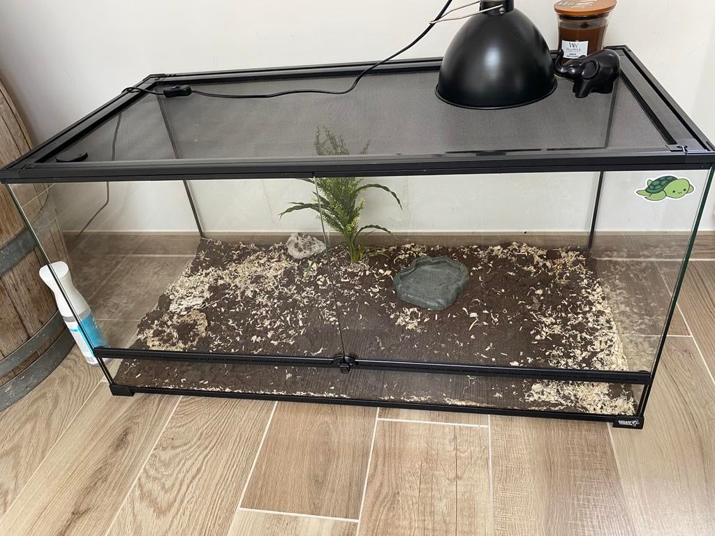 Terrarium en parfait etat GinganTerra avec lampe inclus, Animaux & Accessoires, Enlèvement, Comme neuf