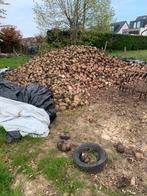 Voederbieten, Zakelijke goederen, Landbouw | Veevoer, Ophalen of Verzenden