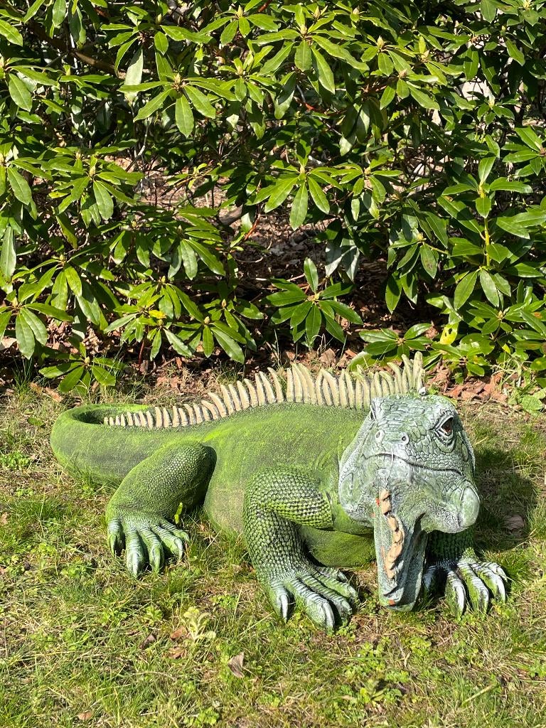 Iguane, vert, jardin, piscine, étang, salamandre 100 cm, Enlèvement, Neuf, Synthétique, Animal