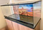 Terrarium en verre 120x60x60, Enlèvement, Utilisé, Terrarium ou Paludarium