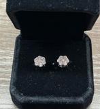 18K witgouden oorbellen met 14 diamanten, Handtassen en Accessoires, Oorbellen, Ophalen, Wit, Nieuw, Met edelsteen