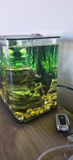 Aquarium biorb 15l, Animaux & Accessoires, Poissons | Aquariums & Accessoires, Enlèvement