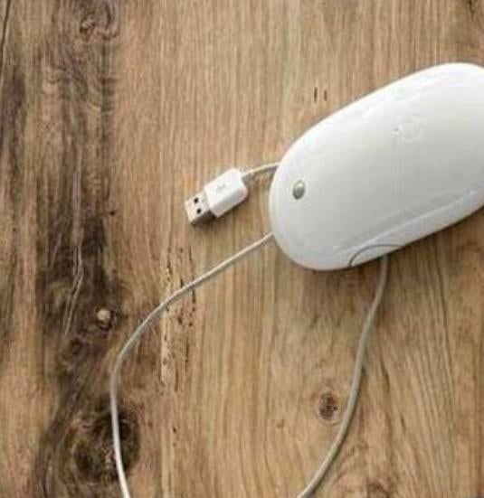 1 apple keyboard meet draad en 1 apple muis met draad, Ophalen, Zo goed als nieuw, Muis