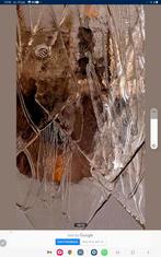 Couple d'appliques murales La Murrina, Enlèvement, Verre