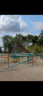 SF merrie 3 jaar, Dieren en Toebehoren, Paarden, Merrie, Springpaard, Gechipt, M