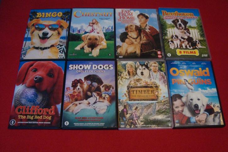 55 hondenfilms, Cd's en Dvd's, Dvd's | Avontuur, Ophalen of Verzenden