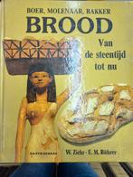 Brood van de steentijd tot nu, Boeken, Geschiedenis | Wereld, Ophalen of Verzenden, Zo goed als nieuw