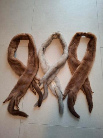 Nerts sjaals beschikbaar voor biedingen