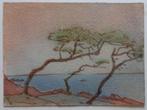 MARC EEMANS / BOMEN NAAST DE ZEE / ORIGINEEL WERK / 23x31cm, Ophalen of Verzenden