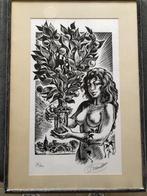 gesingeerde, gelimiteerde pentekening, Enlèvement