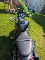 Triumph speed triple 1050, Motoren, Motoren | Triumph, Particulier
